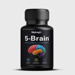 5-brain-front